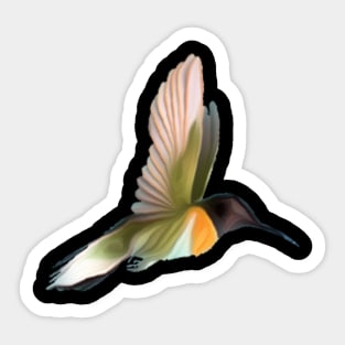 Colorful Colibri Sticker